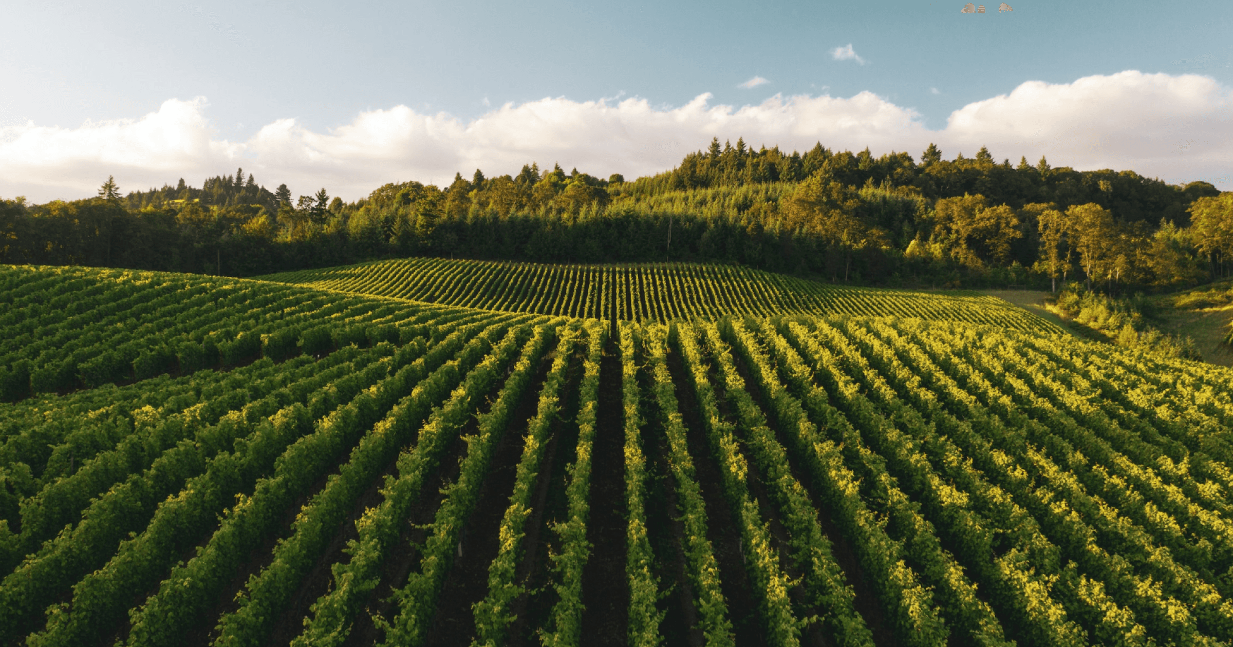 open graph image 1200x630